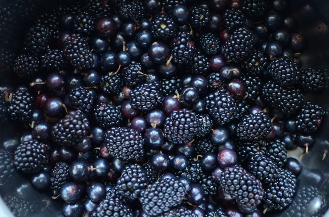 Getting Back to Blogging