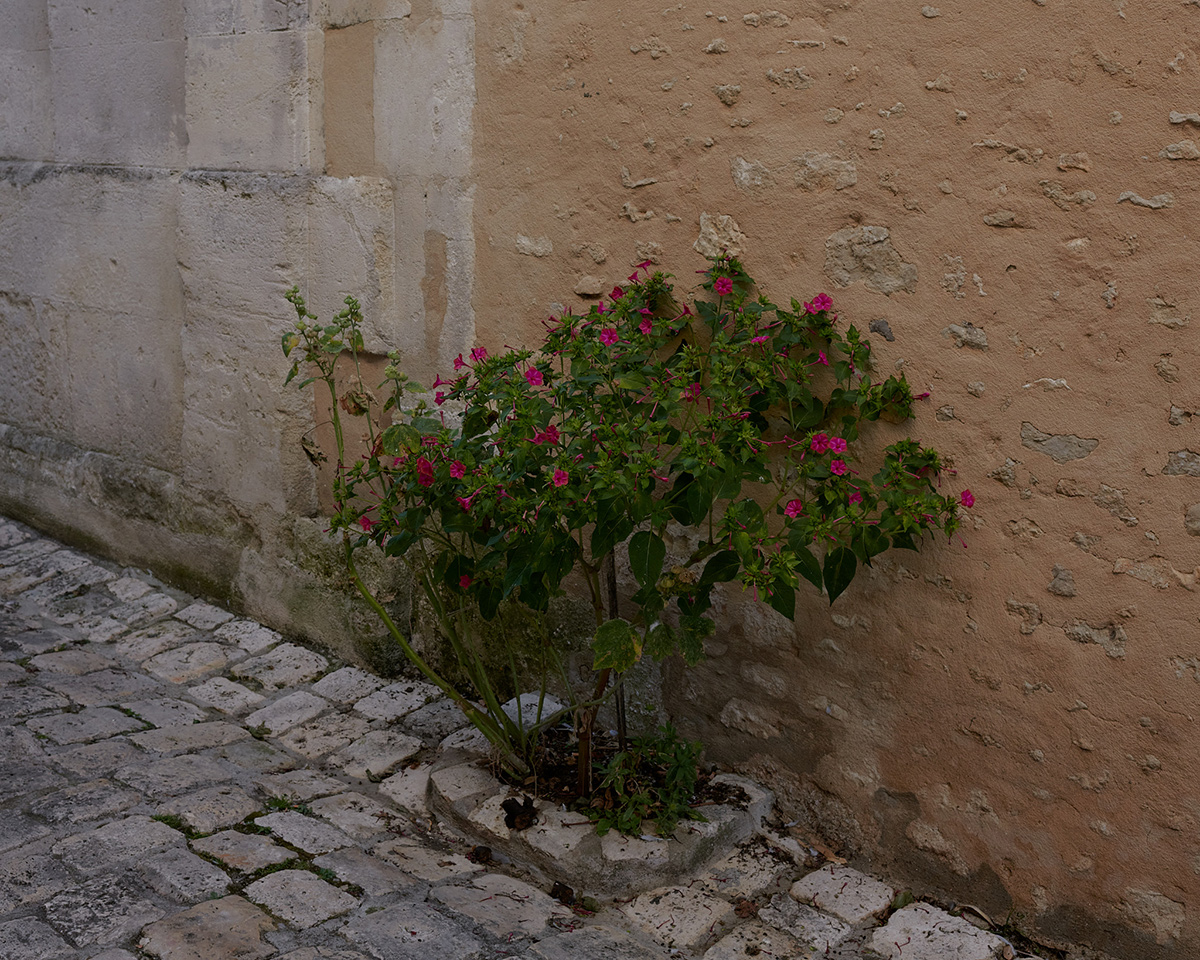 “The Last Days of Summer” by Photographer Jack Sorokin