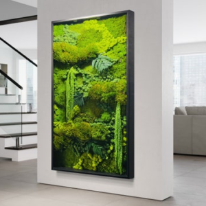 Handcrafted Preserved Moss Wall Art: Rainforest Botanical Garden with Ferns
