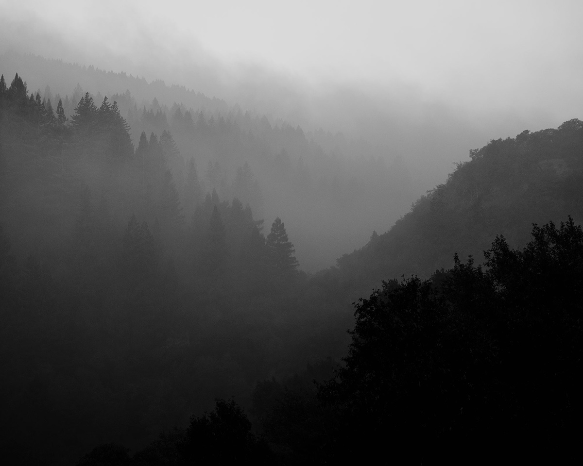 “The Weight Of Ash” by Photographer Ian Bates