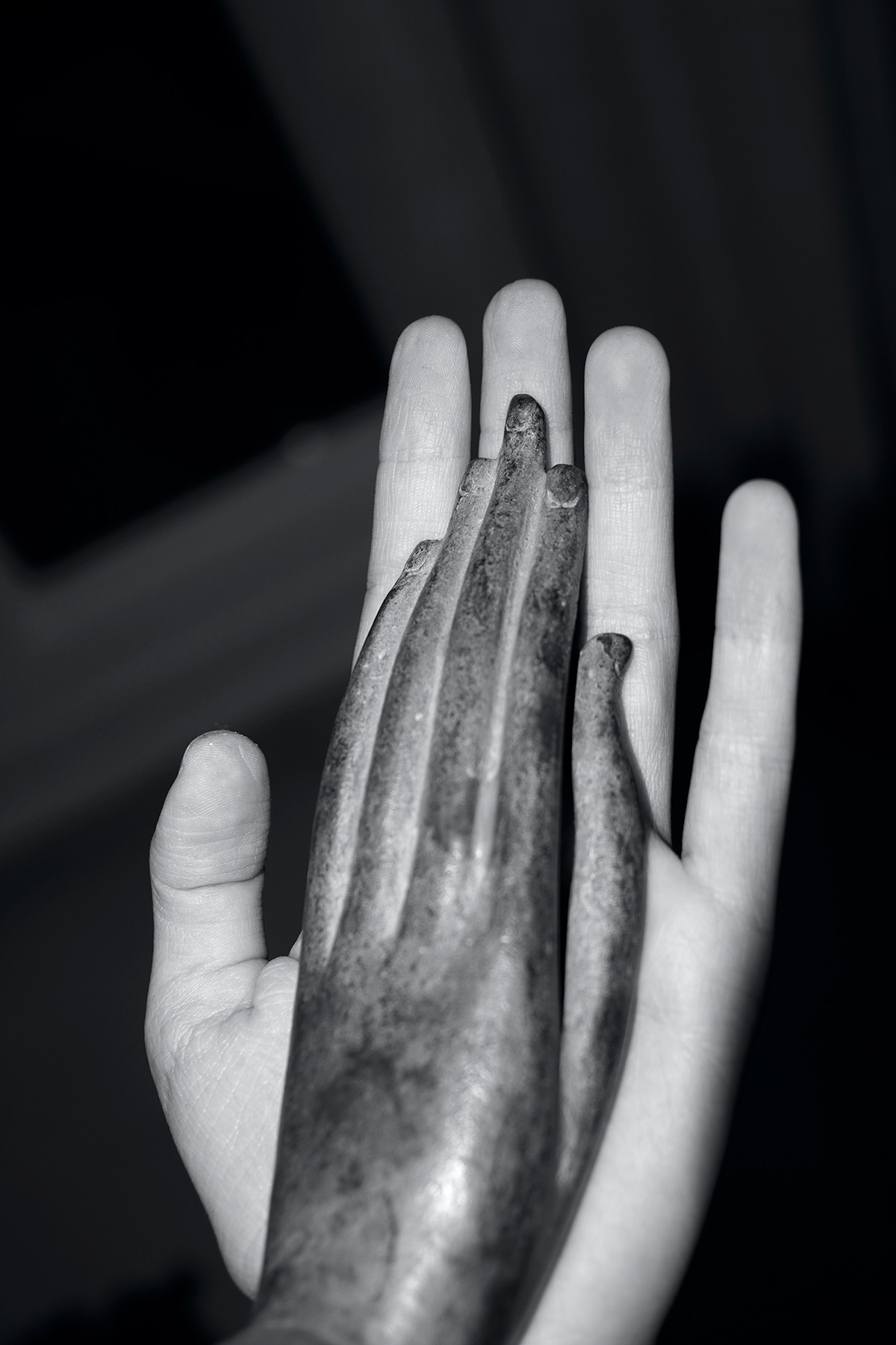 “Not Like This, You Moron!” by Photographer Hasti Najafi