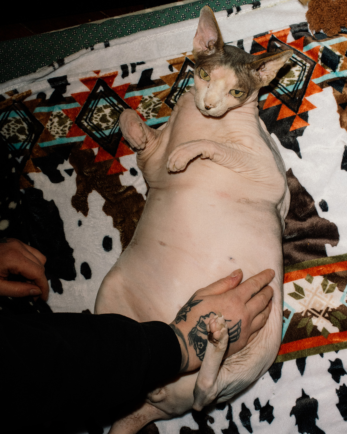 Photographer Spotlight: Alana Paterson