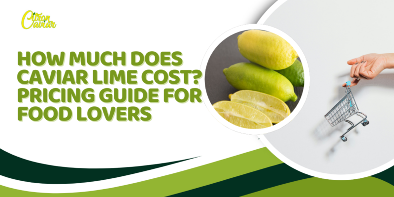 How Much Does Caviar Lime Cost? Pricing Guide for Food Lovers