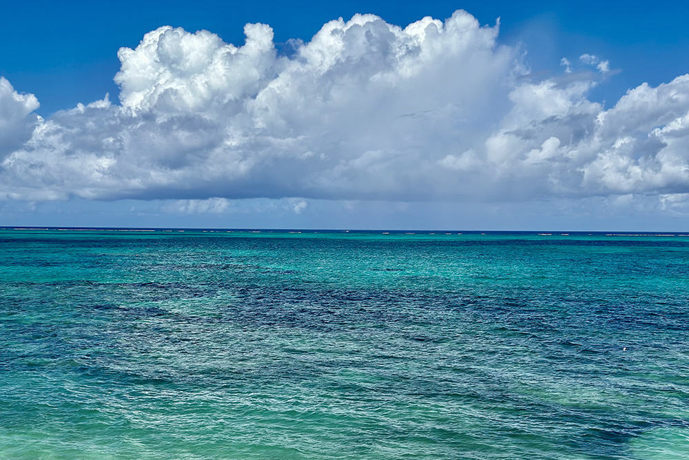 The Easiest Way to Get the Southwest Companion Pass